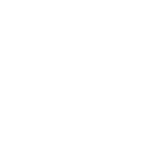 SSL Icon